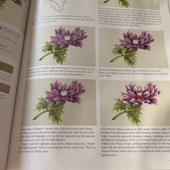 Painting Flowers A to Z with Sherry C. Nelson MDA - Picture 12 of 16